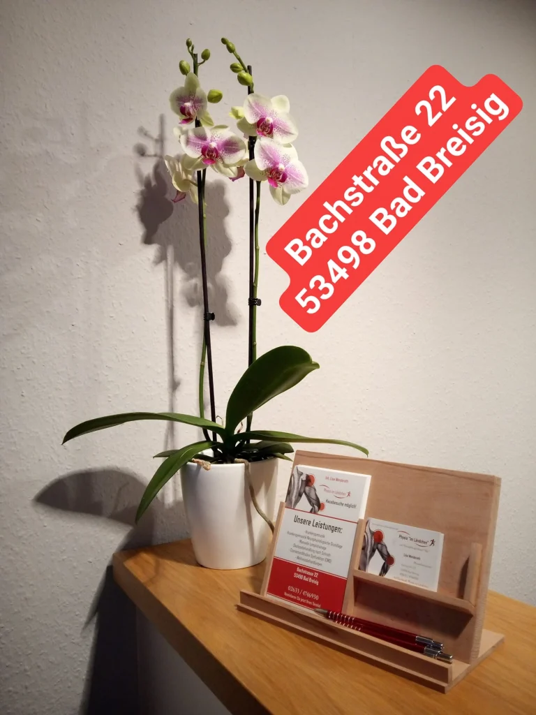 Physiotherapie in Bad Breisig, Lisa Wenderoth